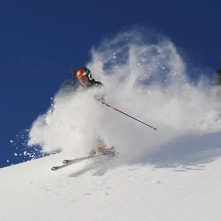 Kohler Komplett Neu Renoviert E-ladestaion Kostenlos Apartamento Mittelberg